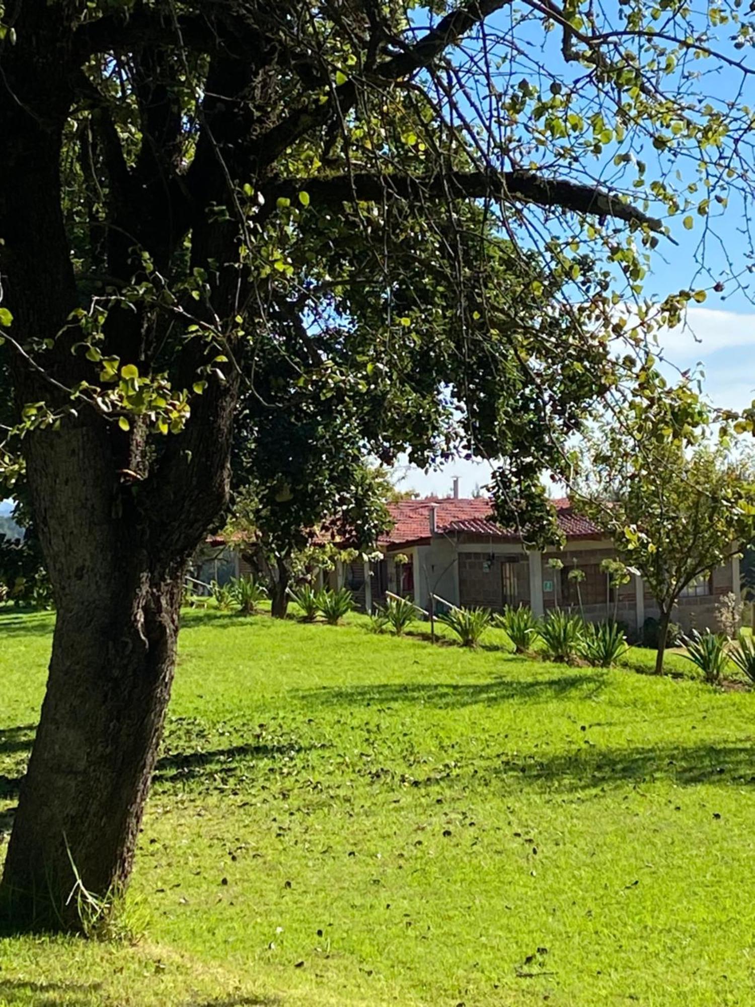 Cabanas Huerta La Mision, Zacatlán Extérieur photo